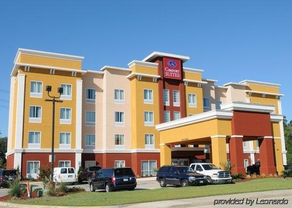 Comfort Suites Near Tanger Outlet Mall Гонзалес Екстериор снимка